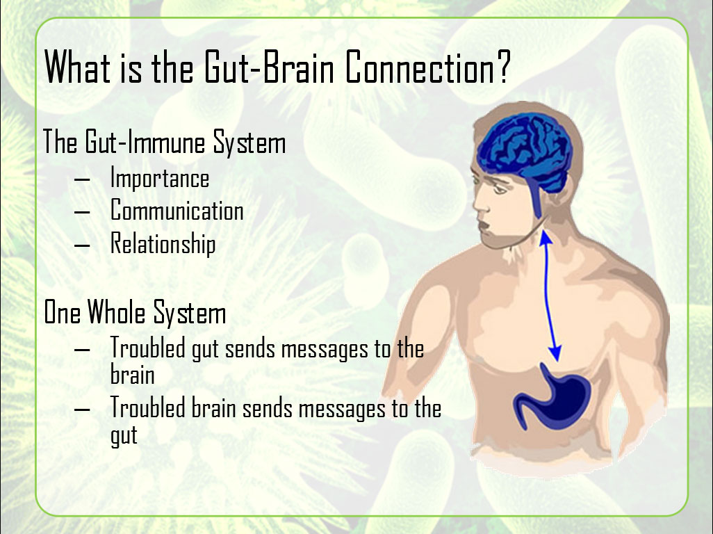 Gut-Brain Connection