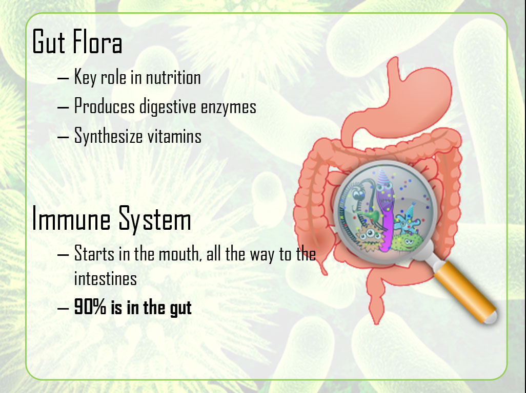 Gut-Brain Connection